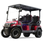 FX Golf Cars - FX40 Golf Carts For Sale